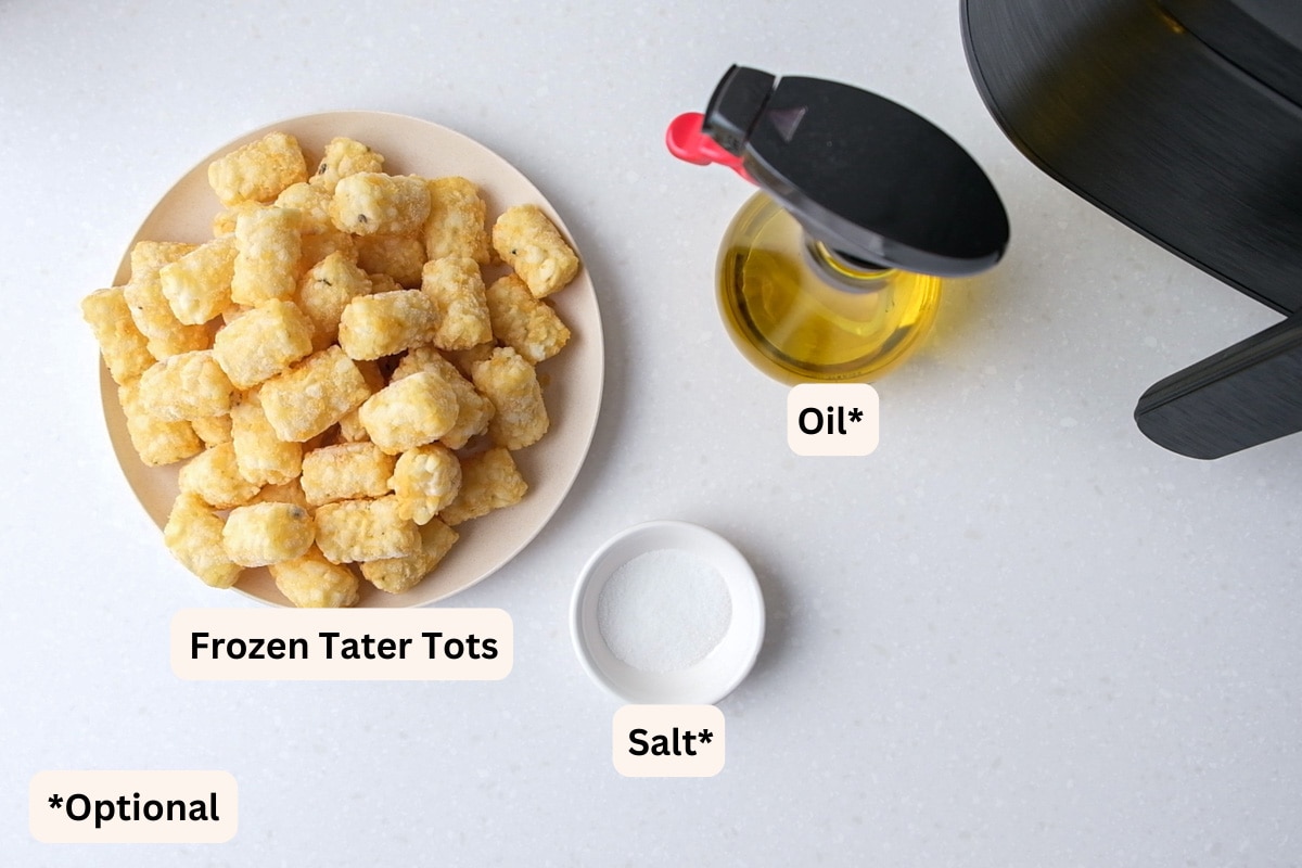 plate of frozen tater tots with salt and air fryer beside on white counter top.