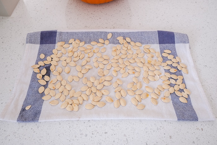 pumpkin seeds laying flat on dish cloth on white counter