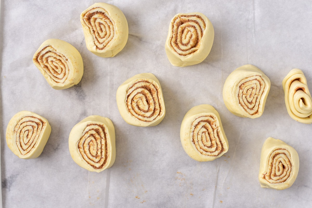 raw cinnamon rolls cut form larger roll of dough on parchment paper on counter.